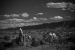Devils Garden - Hole in the Rock Road, Utah - United States of America
